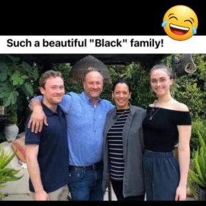 Stupid Bar Memes eaf7a904e5c17864