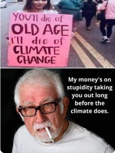 Stupid Bar Memes efcd8025359e5565