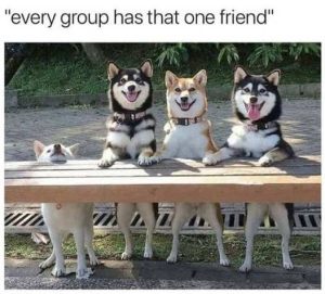 Stupid Bar Memes everatsonesfriend