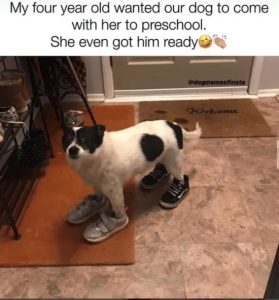 Stupid Bar Memes foursyearsoldswantedsoursdogscom