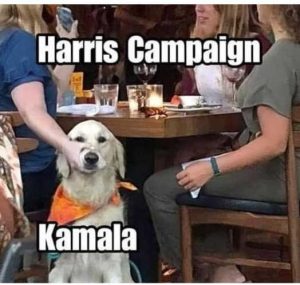 Stupid Bar Memes harrisscampaignskeepingskamalasf