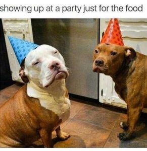 Stupid Bar Memes howingsupspartysj