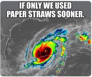 Stupid Bar Memes hurricanesifsonlysusedspapersstr