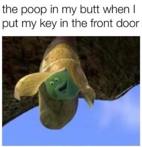 Stupid Bar Memes jrV0w2V