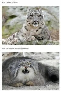Stupid Bar Memes kGQefGd