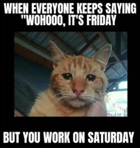 Stupid Bar Memes lazyssaturdaysmemesstoskeepsyou