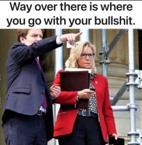 Stupid Bar Memes lizscheneysdeepsstatesrightsover