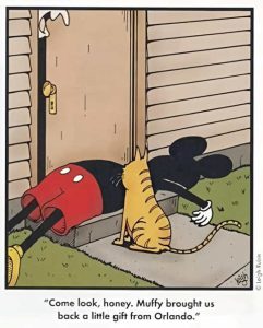 Stupid Bar Memes mickeysmousescatsmuffysgiftsfrom