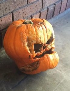 Stupid Bar Memes oldshalloweenspumpkins1