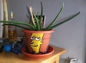 Stupid Bar Memes olnyxskartinoks6sf6