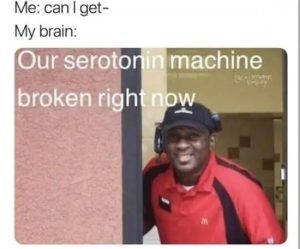 Stupid Bar Memes pcrTPAf
