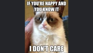 Stupid Bar Memes podcastscoversCats