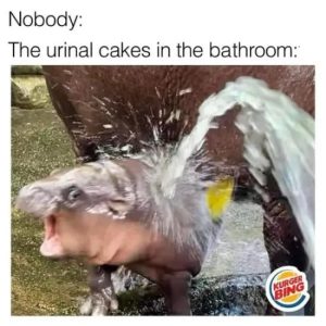 Stupid Bar Memes qEMAItlsd