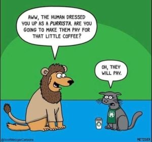 Stupid Bar Memes ristashalloweenscostu