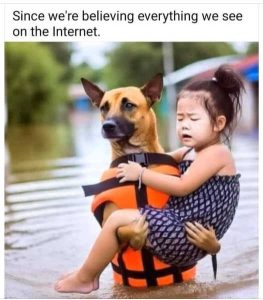 Stupid Bar Memes sincesweresbelievingseverything