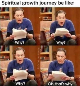 Stupid Bar Memes spirtitualsgrowthswhyssheldon