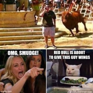 Stupid Bar Memes sredsbullsgivessyouswi