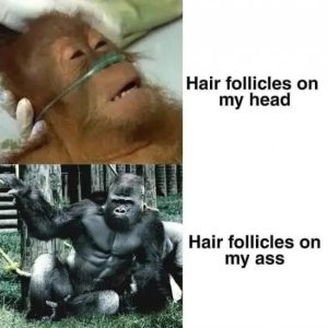 Stupid Bar Memes tBinTqt