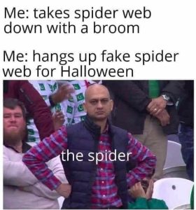 Stupid Bar Memes takingsdownsspiderswebswithsbroo