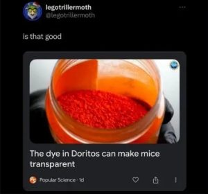 Stupid Bar Memes wUGBlza