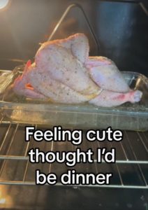 Stupid Bar Memes whensyousfeltscute