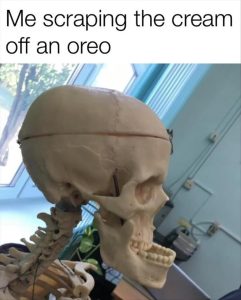 Stupid Bar Memes whensyouslikesoreos
