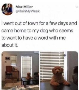 Stupid Bar Memes xdogoutoftownhavewordabou