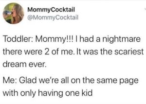 Stupid Bar Memes xsmomstoddlersscarieststwoshavin