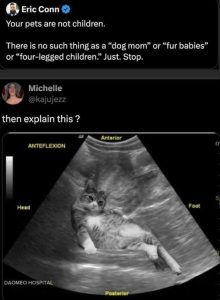Stupid Bar Memes yoingstosexplainsthissthen