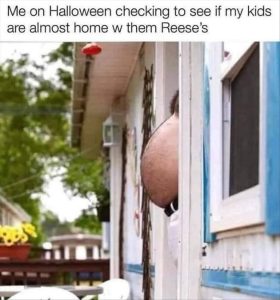 Stupid Bar Memes youresalmostshome