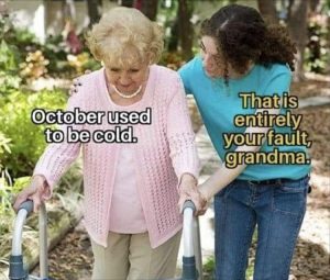Stupid Bar Memes youresfault