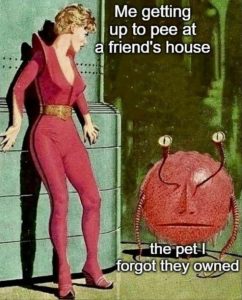 Stupid Bar Memes youresgoing