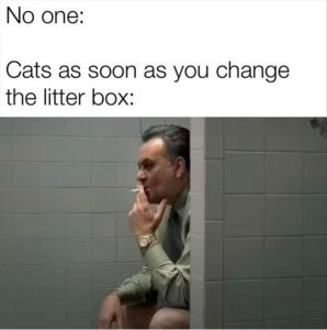 Stupid Bar Memes youresliters