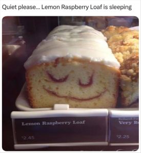 Stupid Bar Memes youresneedingssilence