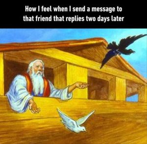 Stupid Bar Memes youressendingsastext