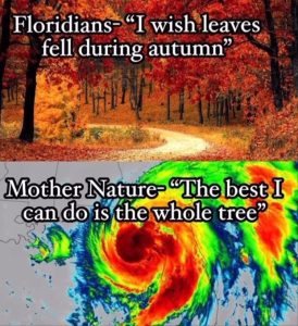 Stupid Bar Memes youresvleaves