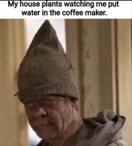 Stupid Bar Memes youresvweirdsvplants