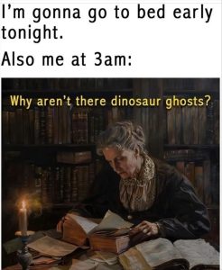 Stupid Bar Memes youreswantingstosknows1