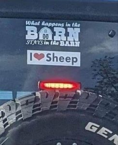 Stupid Bar Memes youresweirdssheep