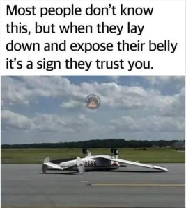 Stupid Bar Memes youslayingsdown
