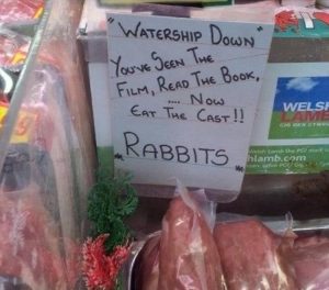 Stupid Bar Memes youswantedsrabbits
