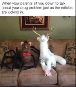 Stupid Bar Memes yzs10