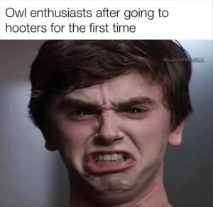 Stupid Bar Memes zafunny6