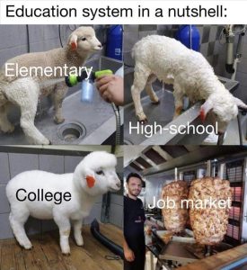 Stupid Bar Memes zsfuns108