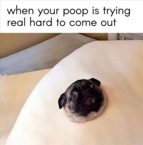 Stupid Bar Memes zsfuns192