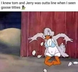 Stupid Bar Memes zsfuns211