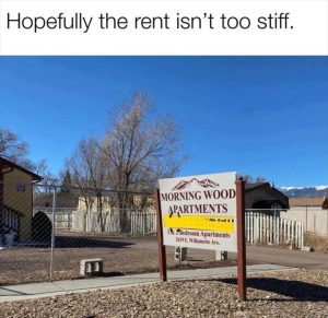 Stupid Bar Memes zsfuns307