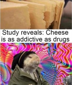 Stupid Bar Memes zsfuns50s1