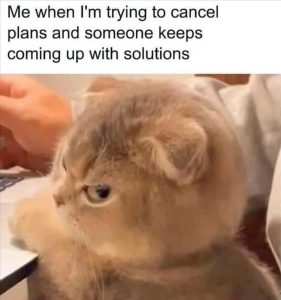 Stupid Bar Memes zsfuns77s1