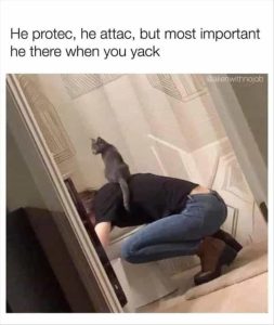 Stupid Bar Memes zsmees209